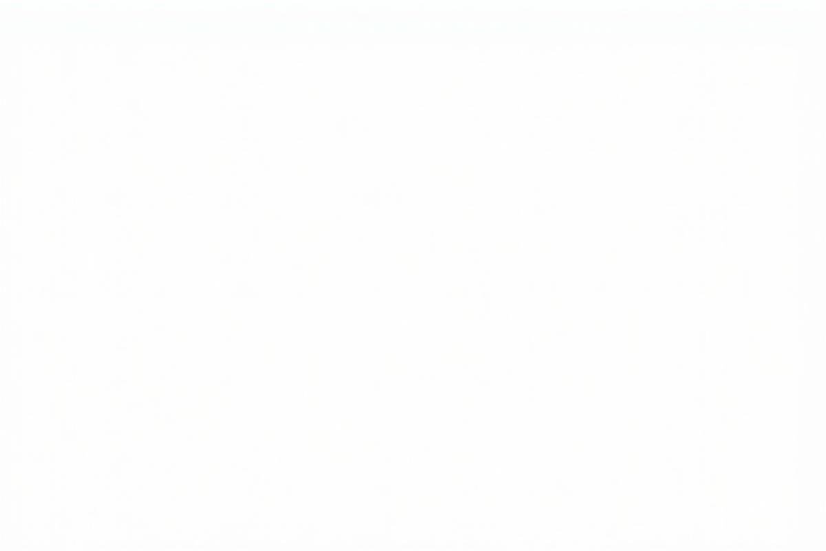 Our Professional Logo Design Studio